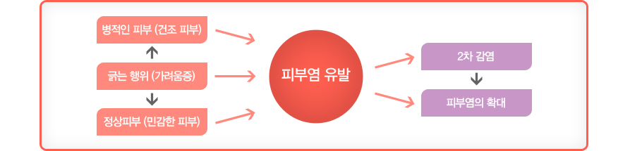 �ܴ� ����(��������) , ������ �Ǻ�(���� �Ǻ�) , �����Ǻ�(�ΰ��� �Ǻ�) �� �Ǻο� ���� �� 2������ �� �Ǻο��� Ȯ��