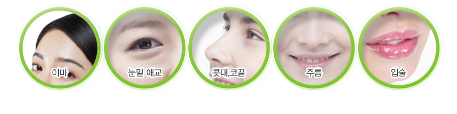 �̸�,���� �ֱ�,���,�ڳ�,�ָ�,�Լ�