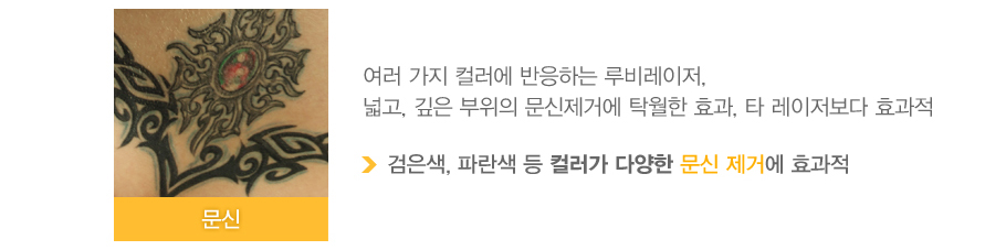 [����]���� ���� �÷��� �����ϴ� �������, �а�, ���� ������ �������ſ� Ź���� ȿ��, Ÿ ���������� ȿ���� (������,�Ķ��� �� �÷��� �پ��� ���� ���ſ� ȿ����)